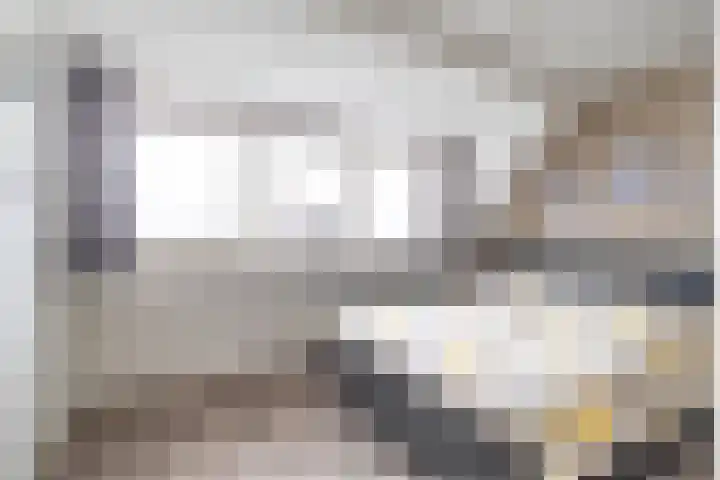 Van der Haerstrjitte 13 Ternaard thumbnail 31