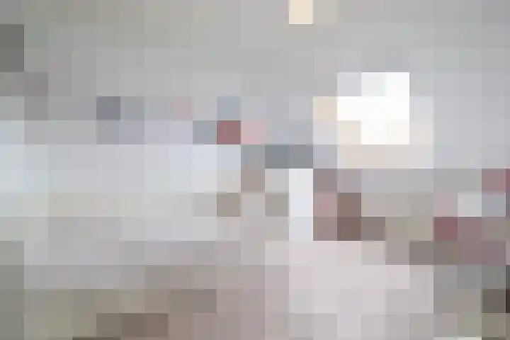 Van der Haerstrjitte 13 Ternaard thumbnail 34