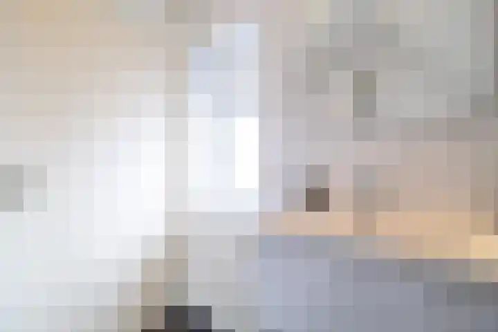 Van der Haerstrjitte 13 Ternaard thumbnail 40