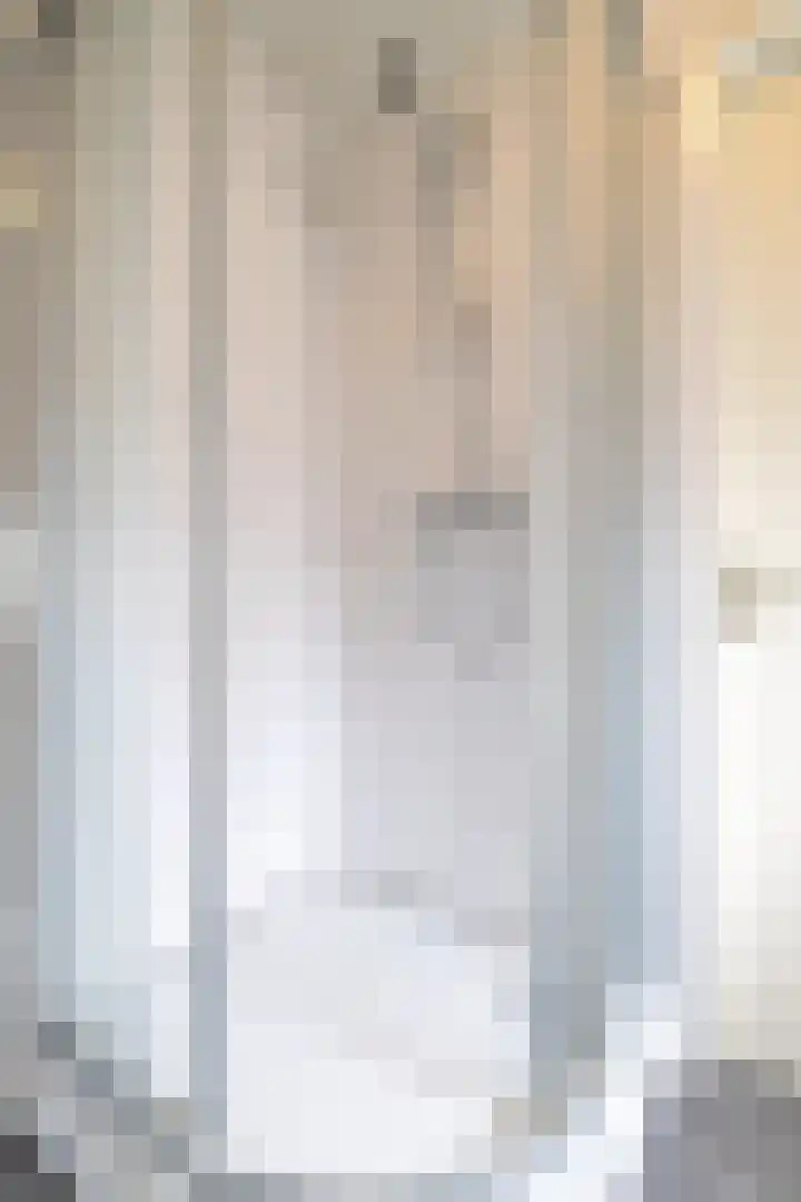 Van der Haerstrjitte 13 Ternaard thumbnail 41