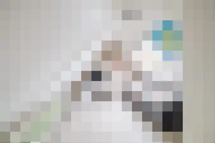 Van der Haerstrjitte 13 Ternaard thumbnail 42