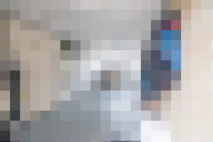 Van der Haerstrjitte 13 Ternaard thumbnail 45