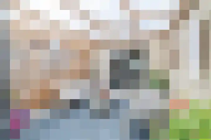 Van der Haerstrjitte 13 Ternaard thumbnail 49