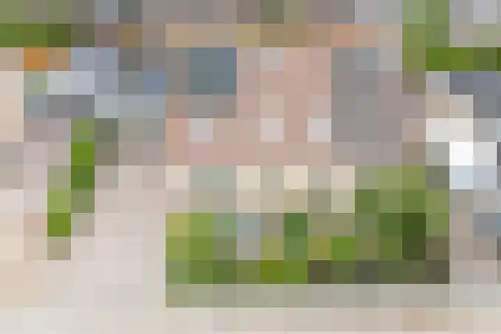 Van der Haerstrjitte 13 Ternaard thumbnail 5