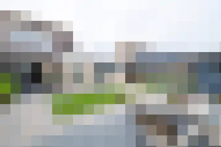Van der Haerstrjitte 13 Ternaard thumbnail 51