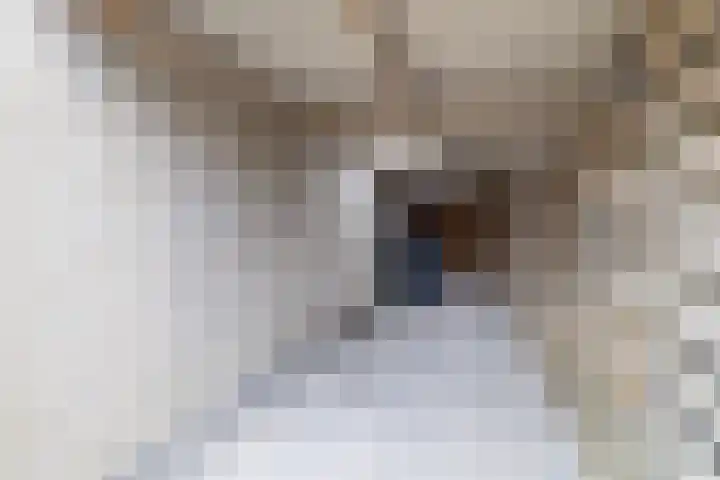 Van der Haerstrjitte 13 Ternaard thumbnail 53