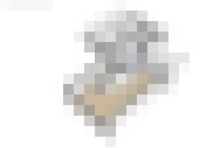 Van der Haerstrjitte 13 Ternaard thumbnail 59