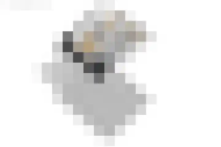 Van der Haerstrjitte 13 Ternaard thumbnail 68
