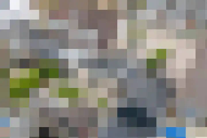 Van der Haerstrjitte 13 Ternaard thumbnail 7