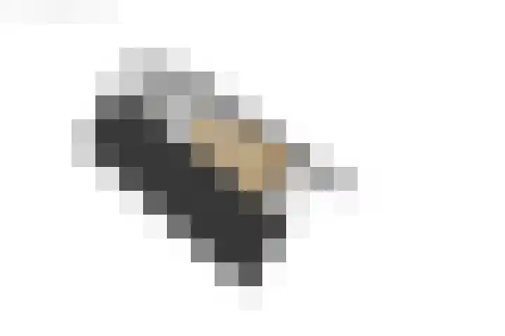 Van der Haerstrjitte 13 Ternaard thumbnail 73