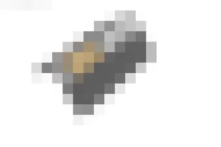 Van der Haerstrjitte 13 Ternaard thumbnail 74