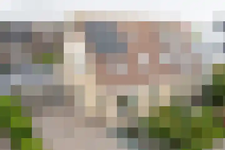 Van der Haerstrjitte 13 Ternaard thumbnail 78