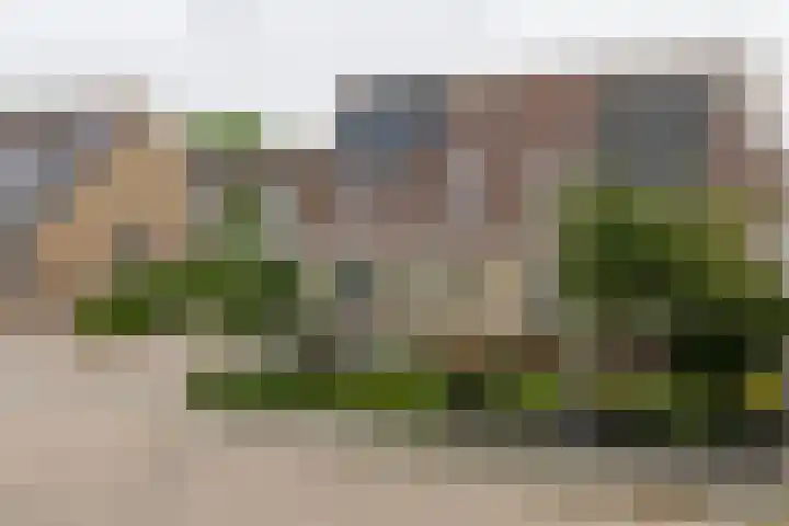 Van der Haerstrjitte 13 Ternaard thumbnail 9