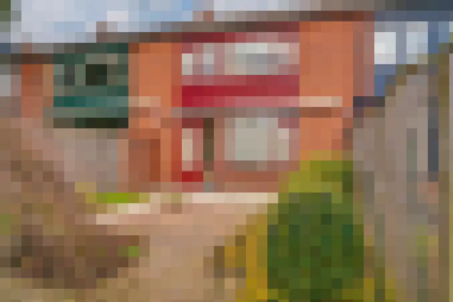 Van der Hoevensstraat 9 Westervoort thumbnail 23