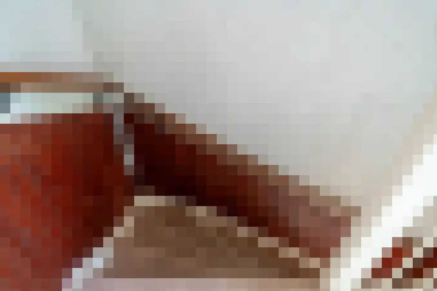 Van der Hoevensstraat 9 Westervoort thumbnail 31