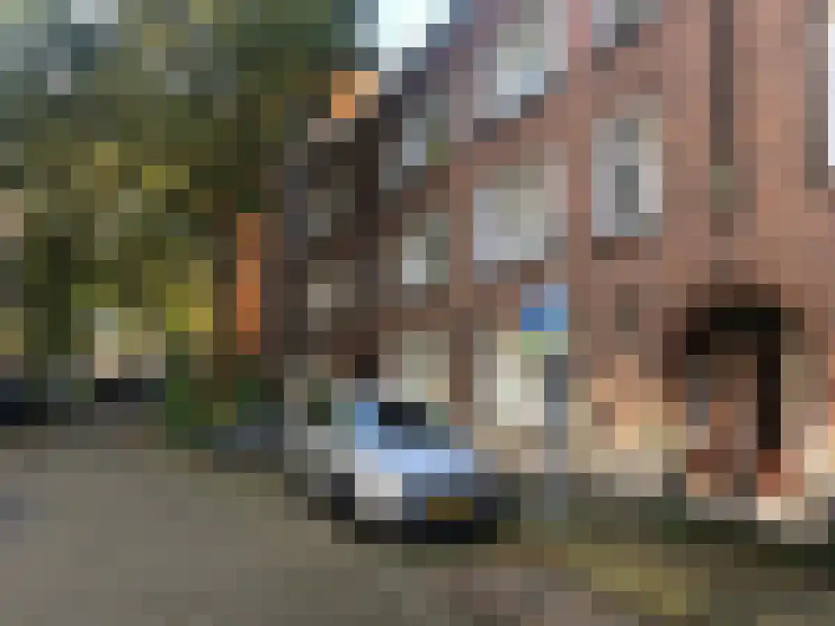 Van der Horststraat 8 B 01 in Rotterdam