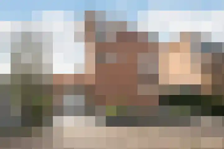 Van der Klugt Wittemansingel 7 dans Poeldijk