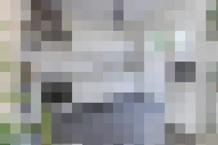 van der Plaatstraat 17 Grave thumbnail 10