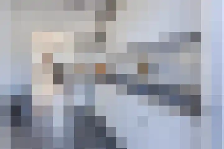 van der Plaatstraat 17 Grave thumbnail 12