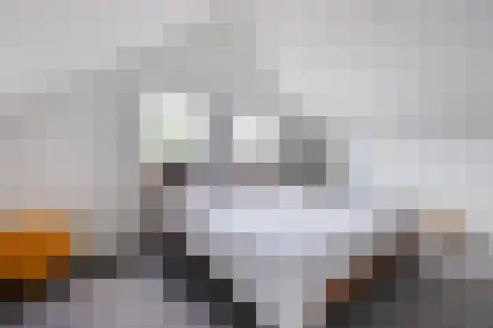 van der Plaatstraat 17 Grave thumbnail 25