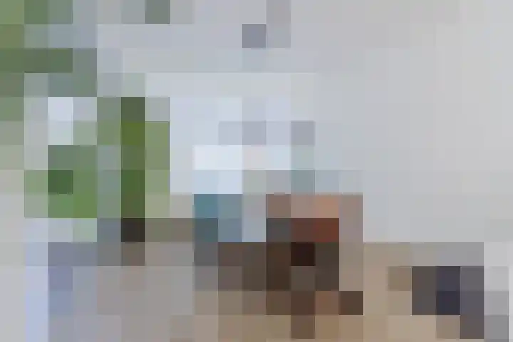 van der Plaatstraat 17 Grave thumbnail 7