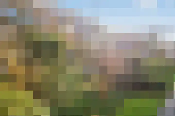 van der Plaatstraat 7 Grave thumbnail 32