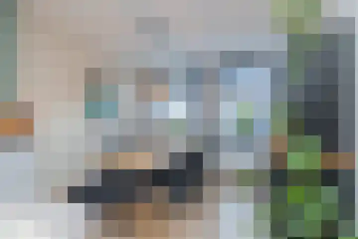 van der Veldstraat 5 Lisse thumbnail 8
