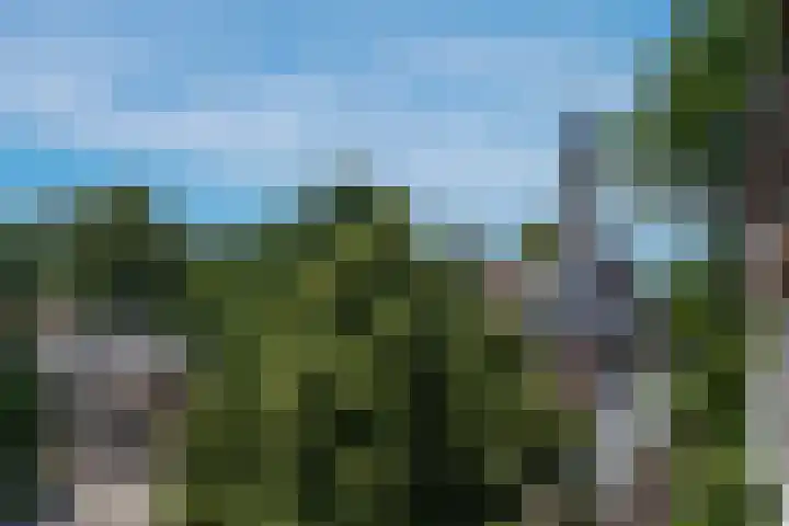 van der Veurweg 21 Beek thumbnail 11