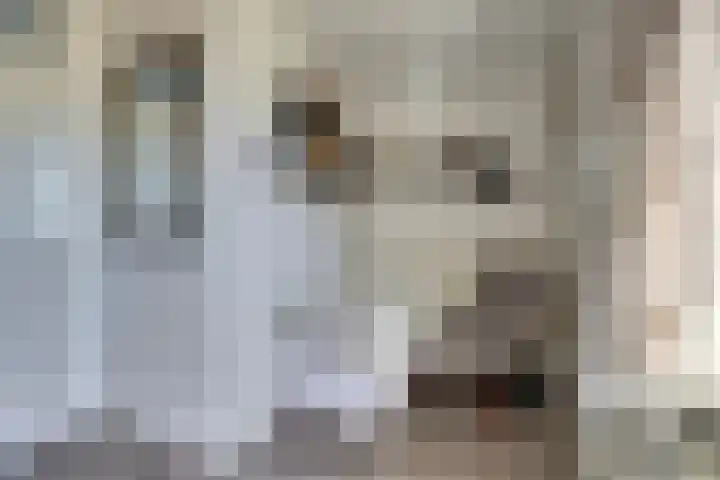 van der Weijstrjitte 41 Exmorra thumbnail 17