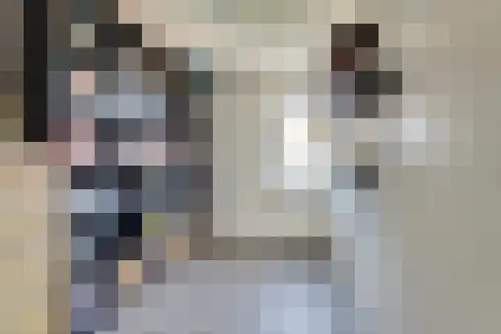 van der Weijstrjitte 41 Exmorra thumbnail 18