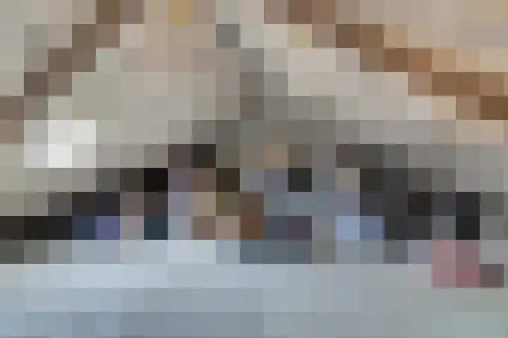 van der Weijstrjitte 41 Exmorra thumbnail 21