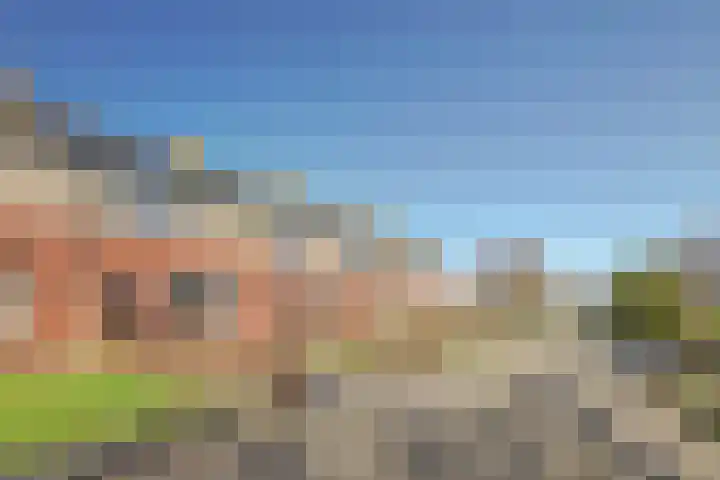 van der Weijstrjitte 41 Exmorra thumbnail 29