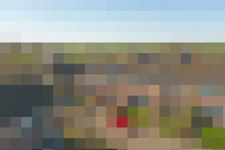 van der Weijstrjitte 41 Exmorra thumbnail 4