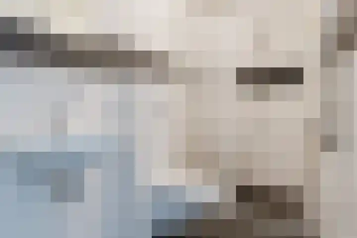 Van der Werfstraat 49 B Leiden thumbnail 21
