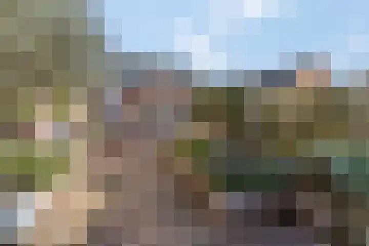 Van der Werfstraat 60 Leiden thumbnail 24