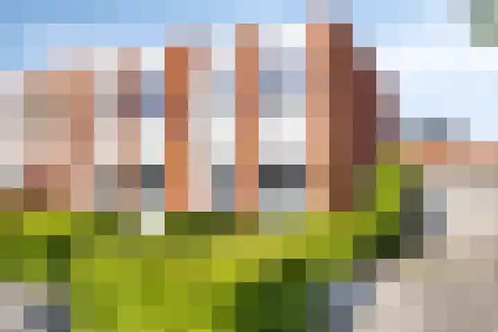 Van der Willigenstraat 31 Deventer thumbnail 6