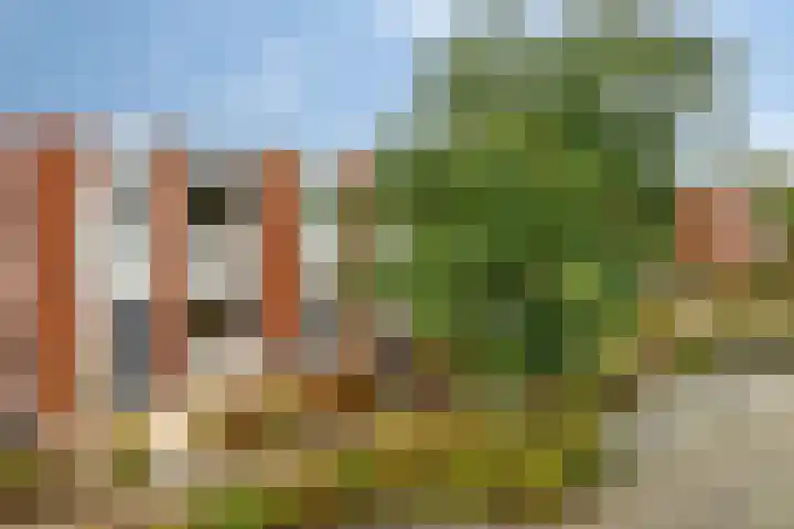 Van der Willigenstraat 9 Deventer thumbnail 4