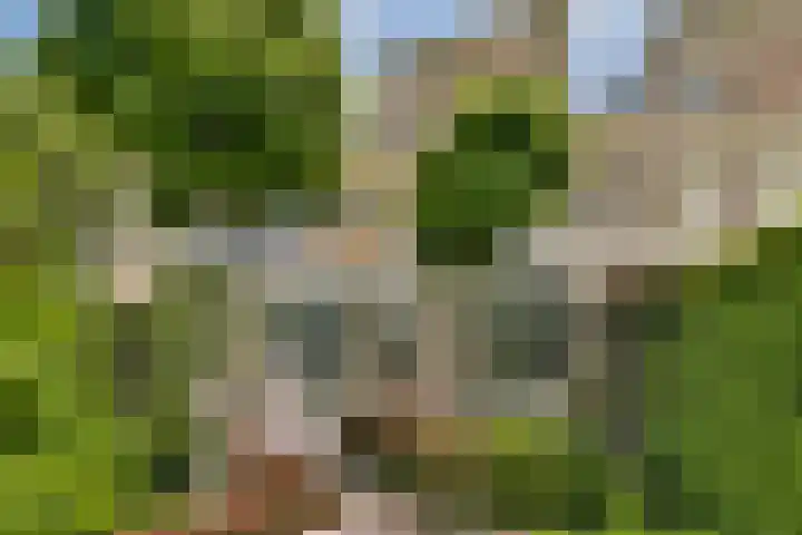 van Dethstraat 20 Gouda thumbnail 37
