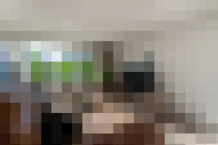 van Dijckstraat 1 Duiven thumbnail 12