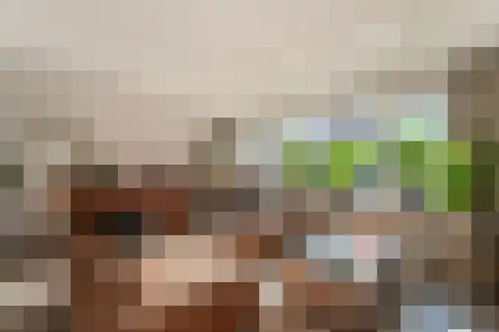 van Dijckstraat 1 Duiven thumbnail 13