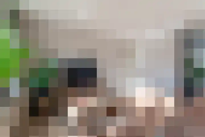 van Dijckstraat 1 Duiven thumbnail 14
