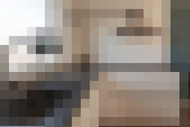 van Dijckstraat 1 Duiven thumbnail 17