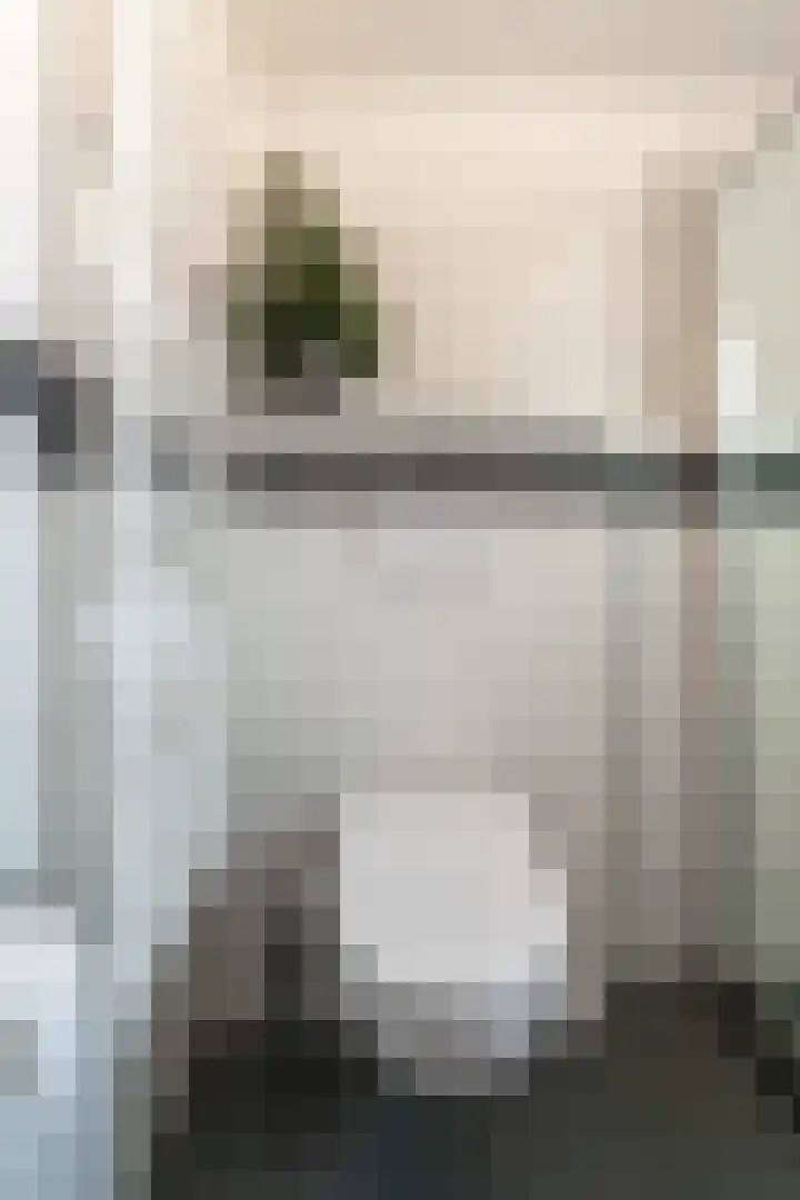 van Dijckstraat 1 Duiven thumbnail 29