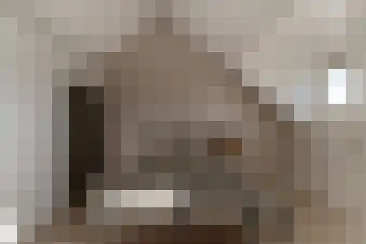 van Dijckstraat 1 Duiven thumbnail 33