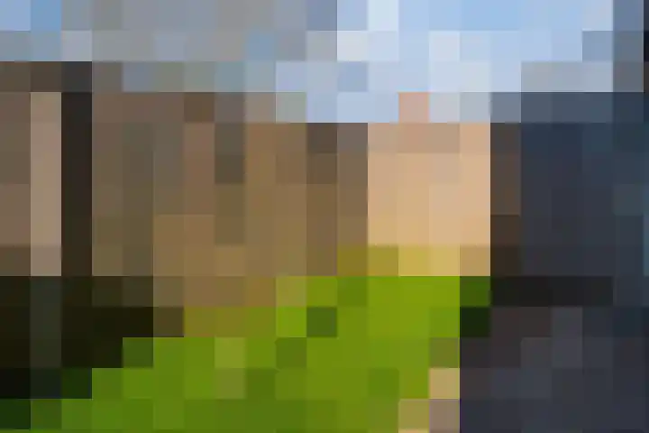 van Dijckstraat 1 Duiven thumbnail 39