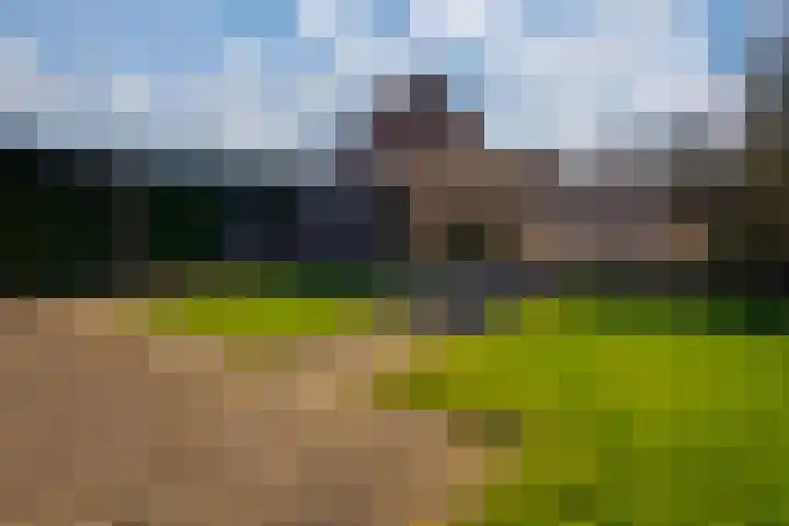 van Dijckstraat 1 Duiven thumbnail 4