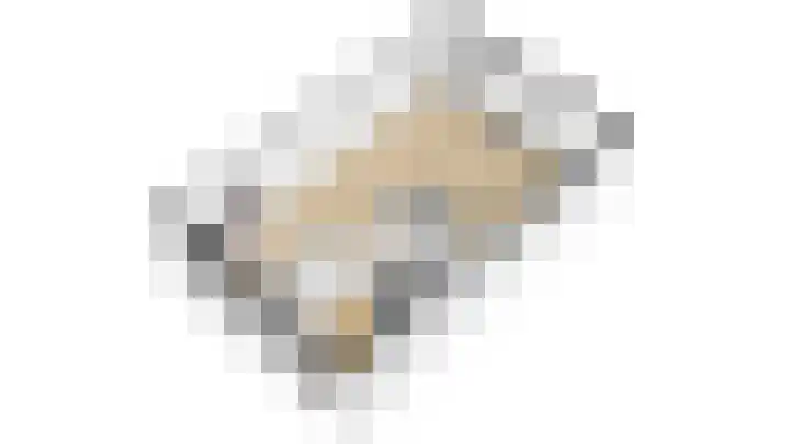 van Dijckstraat 1 Duiven thumbnail 45