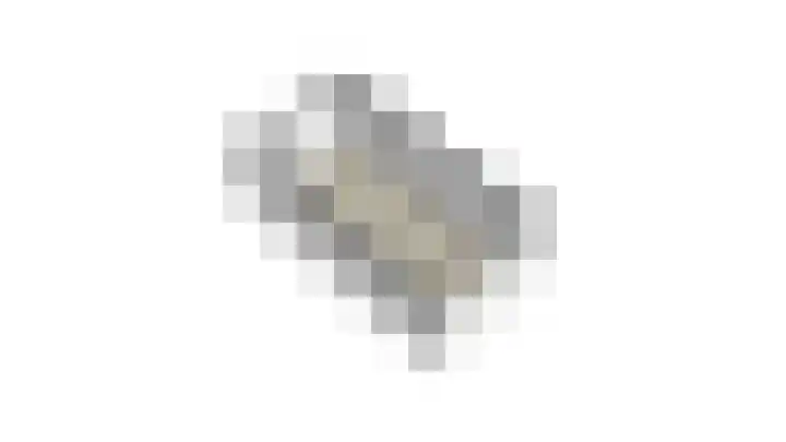 van Dijckstraat 1 Duiven thumbnail 53