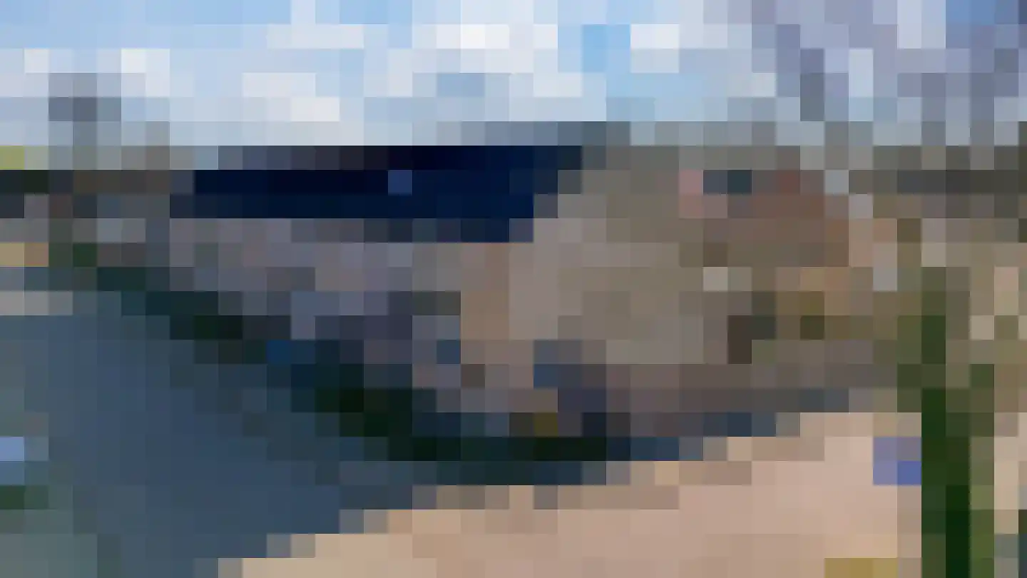 van Dijckstraat 1 Duiven thumbnail 56