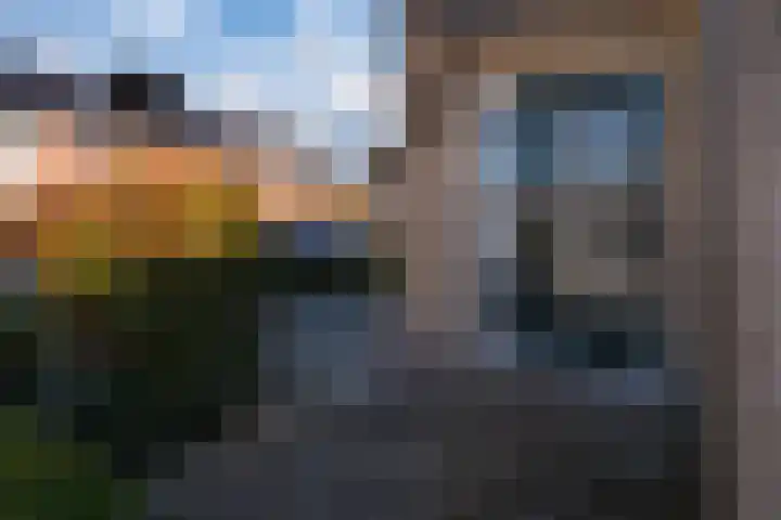 van Dijckstraat 1 Duiven thumbnail 8